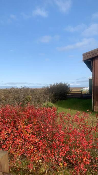 Fossar Villa Kirkjubæjarklaustur エクステリア 写真